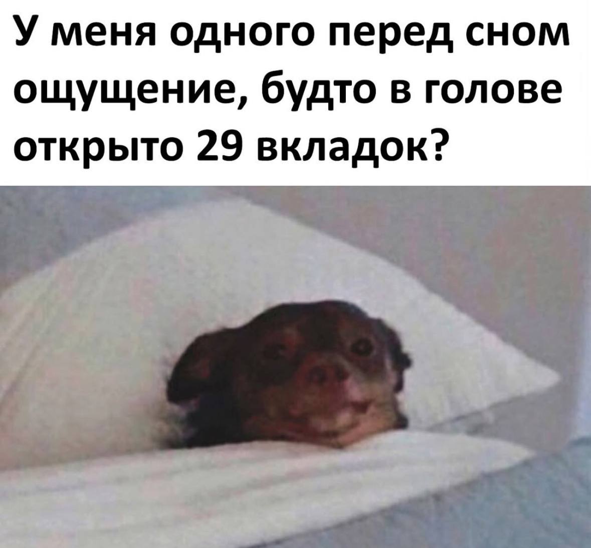 Мемы с котиками, разные смешные картинки и позвоночник 