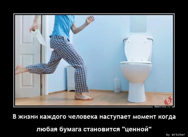 Демотиваторы для настроения: «Все красивые девули покупают креветули!» 
