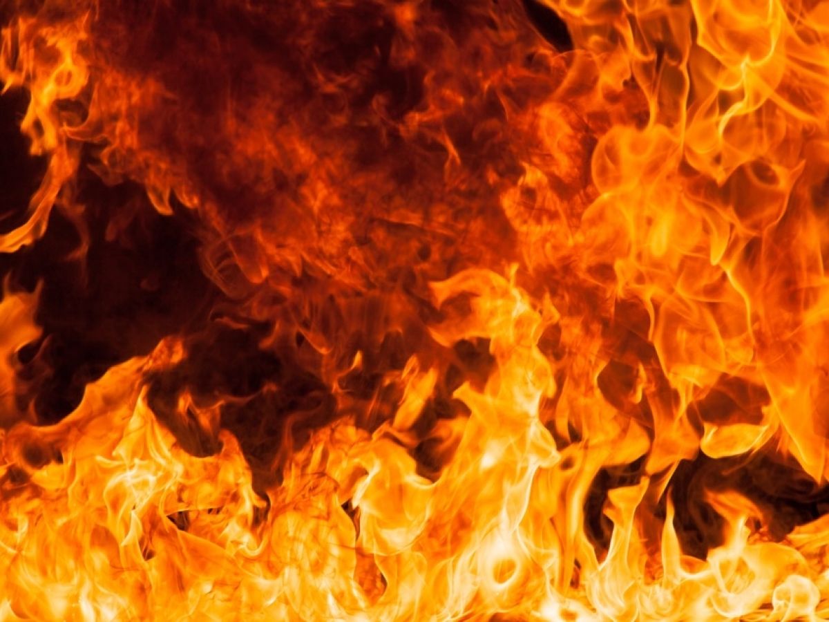 На Донбассе сожжено имущество ВСУ на миллионы гривен, вскрылись потери карателей: сводка (+ВИДЕО)