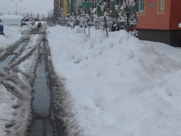 морозы в краснодаре. дед мороз в краснодаре. морозы в краснодаре. парад деда мороза в краснодаре. субботний снегопад.