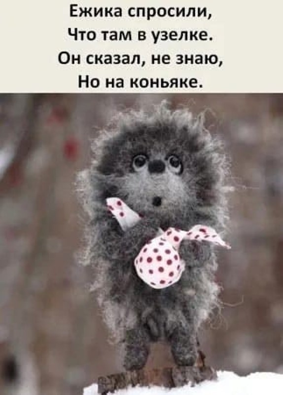 Юмор в картинках, местами жестковато, местами черновато Юмор в картинках, местами жестковато, местами черновато