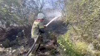 Тушение лесного пожара / Кадр из видео: МЧС Краснодарского края