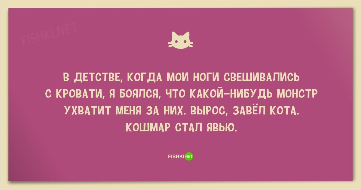 25 смешных анекдотов про кошек и котов