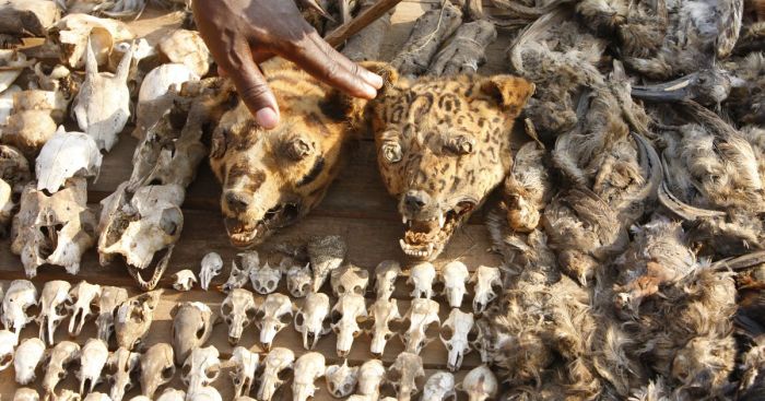 10 жутких достопримечательностей, от которых мурашки бегут по коже достопримечательности,интересное,мир,путешествия