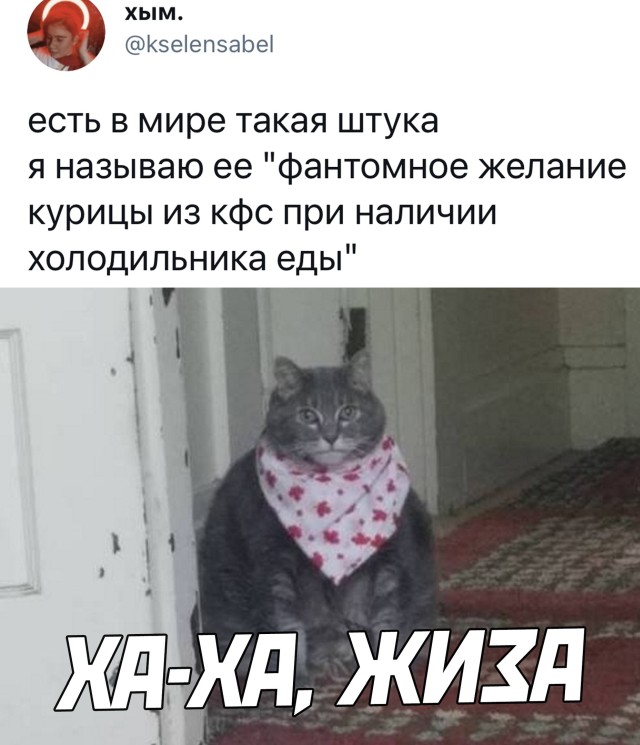 Подборка прикольных картинок Подборка прикольных картинок приколы,смешные картинки,юмор