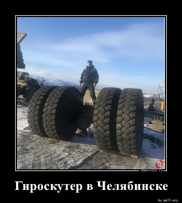 Демотиваторы для настроения: «Все красивые девули покупают креветули!» 
