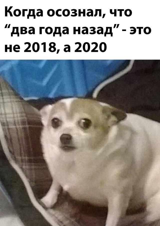 Подборка прикольных картинок Подборка прикольных картинок приколы,смешные картинки,юмор