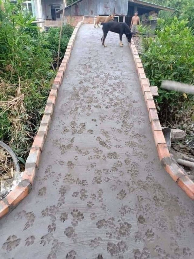 Ржачные картинки Ржачные картинки