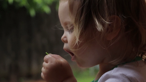 Сборник жизненных гифок про все в нашем мире 