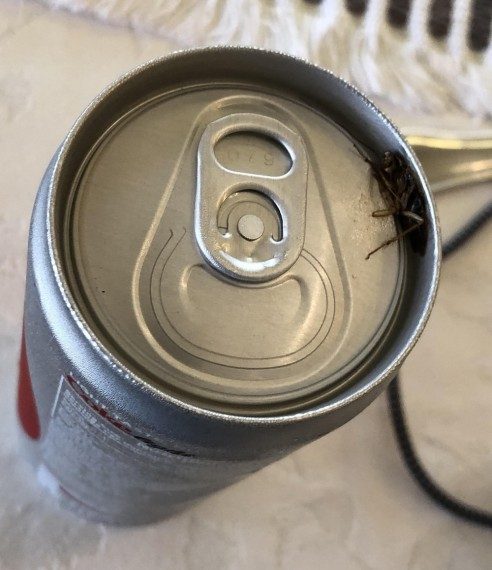 Если день не задался... Если день не задался...