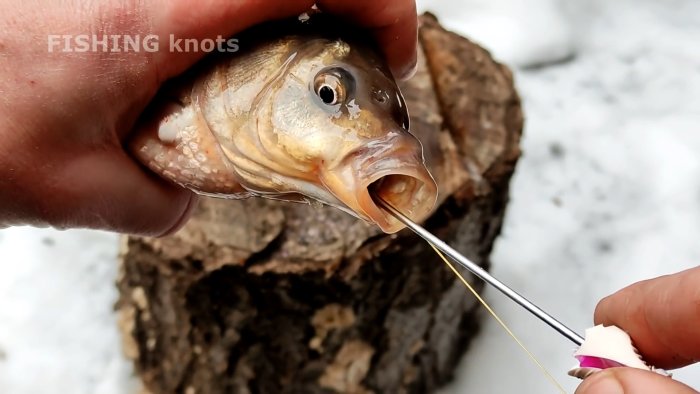 Как сделать инструмент для извлечения крючка из рыбы для дома и дачи,мастер-класс