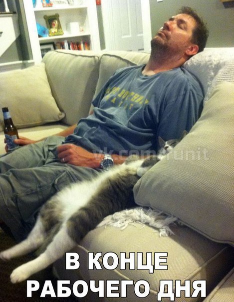 Забавные фото приколы и смешные картинки с надписями для улыбки 