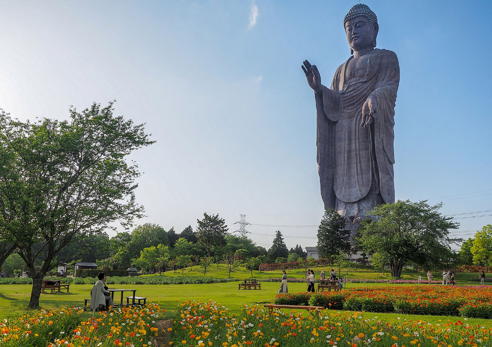 Статуя Будды Амитабхи в японском городе Усику