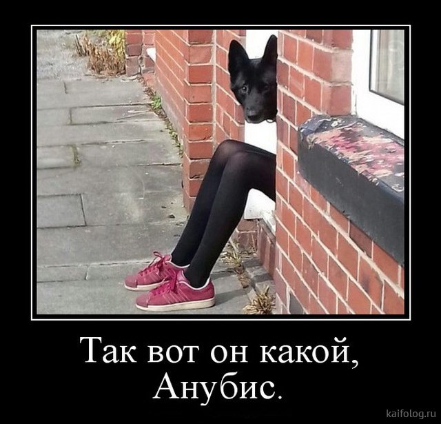 Демотиваторы дня: «Красивое» Демотиваторы дня: «Красивое»