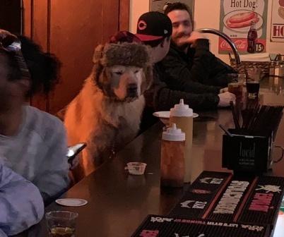 Веселые картинки и зачетные фото приколы из нашей жизни классные фотографии позитив