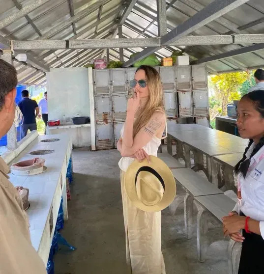 Анджелина Джоли появилась на публике в Камбодже ДжолиАнджелина, Джоли, актриса, Анджелина, детей, вместе, спустя, развод, провинции, Баттамбанг, детьми, Камбоджу, посетила, Вивьен, Шайло, усыновил, троих, родила, первую, свадьбу