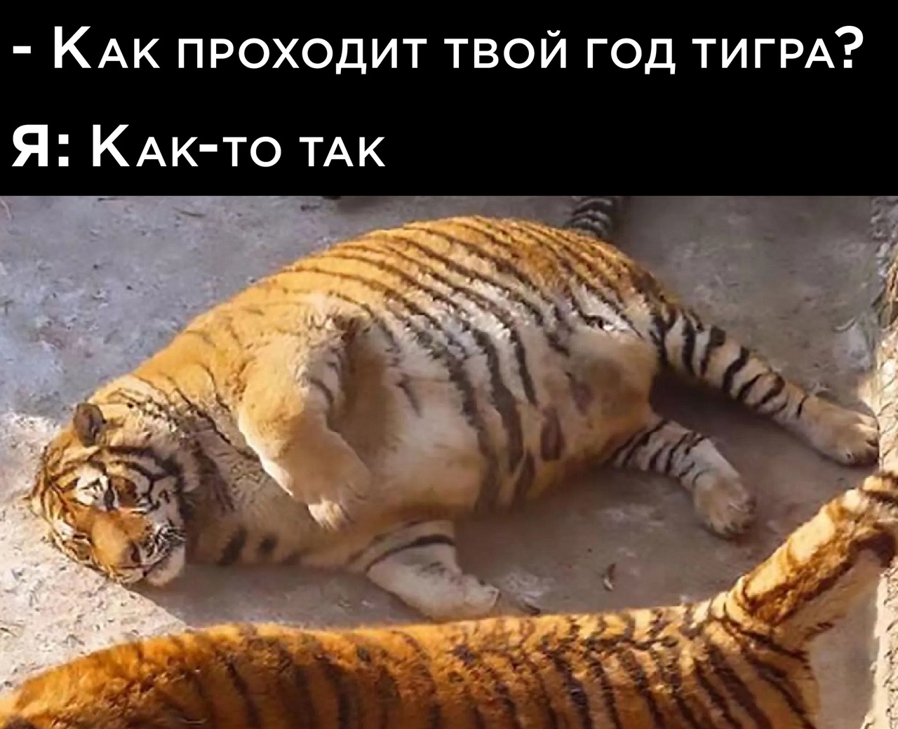 Юмор из интернета 693 Юмор из интернета 693 позитив,смех,улыбки,юмор