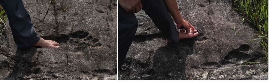 Источник: http://sputniknews.com/asia/20160826/1044675617/china-footprint-discovery.html 