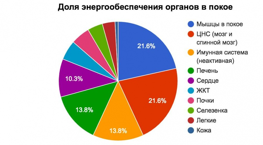 Можем ли мы похудеть, просто интенсивно думая? жизнь,интересное,мозг,мышление,похудение