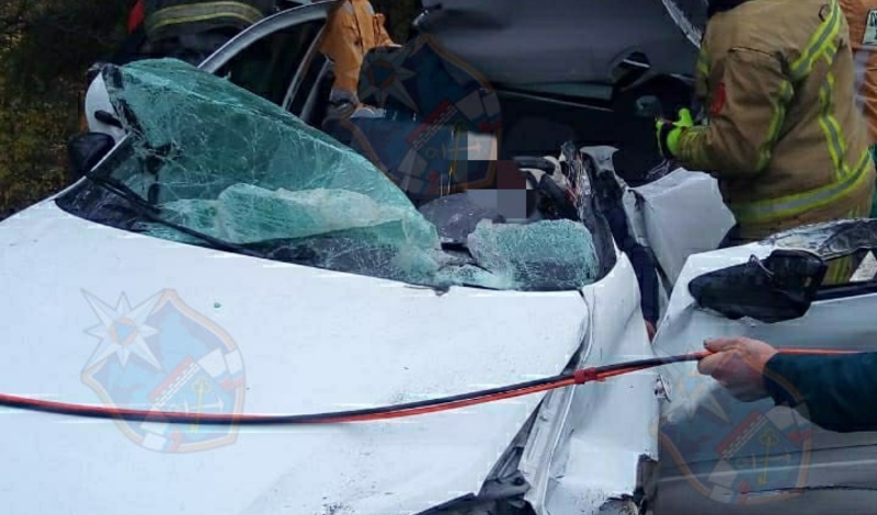 Водитель автомобиля с карельскими номерами погиб в ДТП с грузовиком