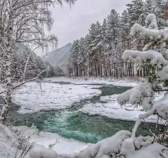 Алтайский Край Зимой Фото.