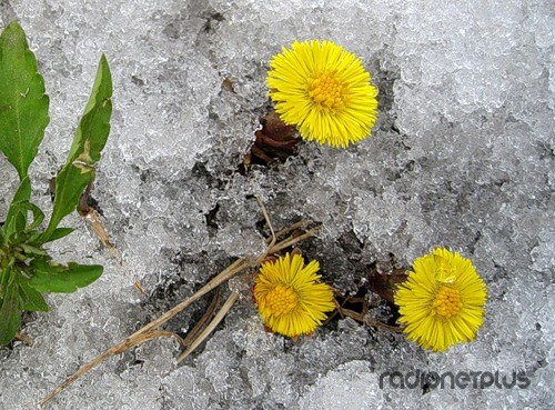 Победителей не судят....) Трогательная история для мамочек