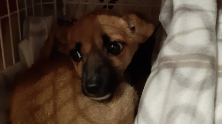 BeFunky-collage - 2020-02-08T113155.536