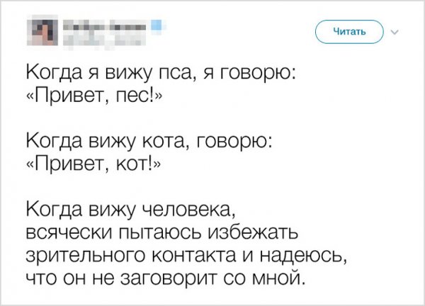 Твиты от людей, с которыми у вас много общего смешные картинки