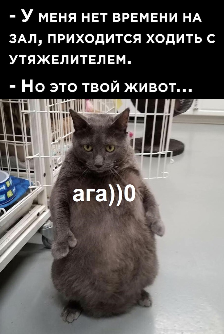 Юмор из интернета 693 Юмор из интернета 693 позитив,смех,улыбки,юмор