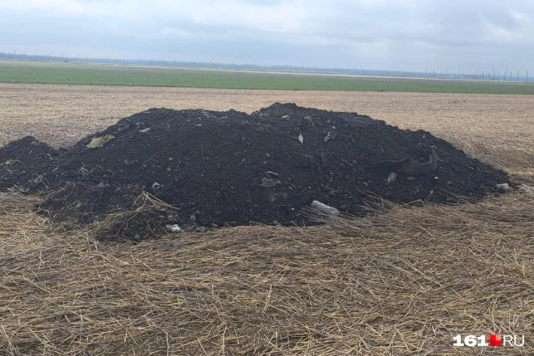 Земля ушла из под ног: провал почвы в Ростовской области