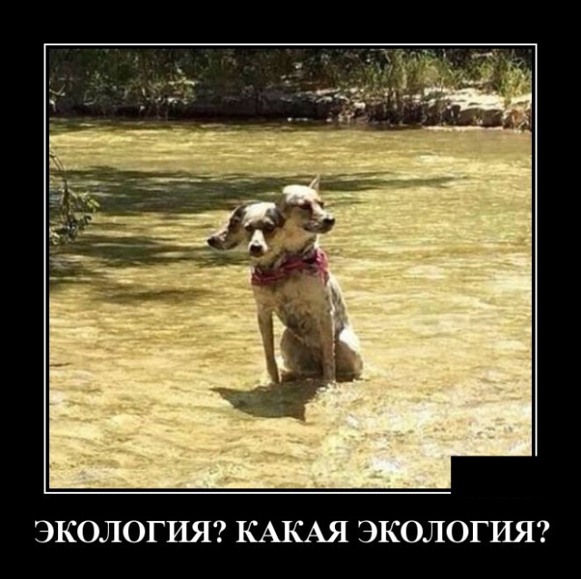 Демотиваторы смешные 