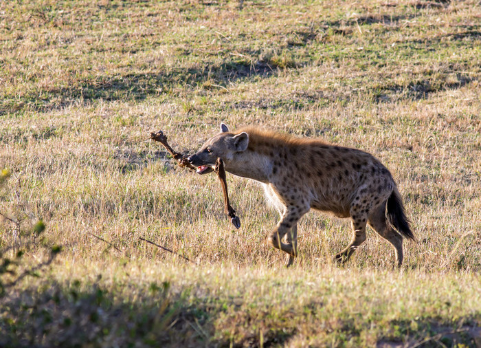 Мое знакомство с Кенией путешествие,страны,туризм