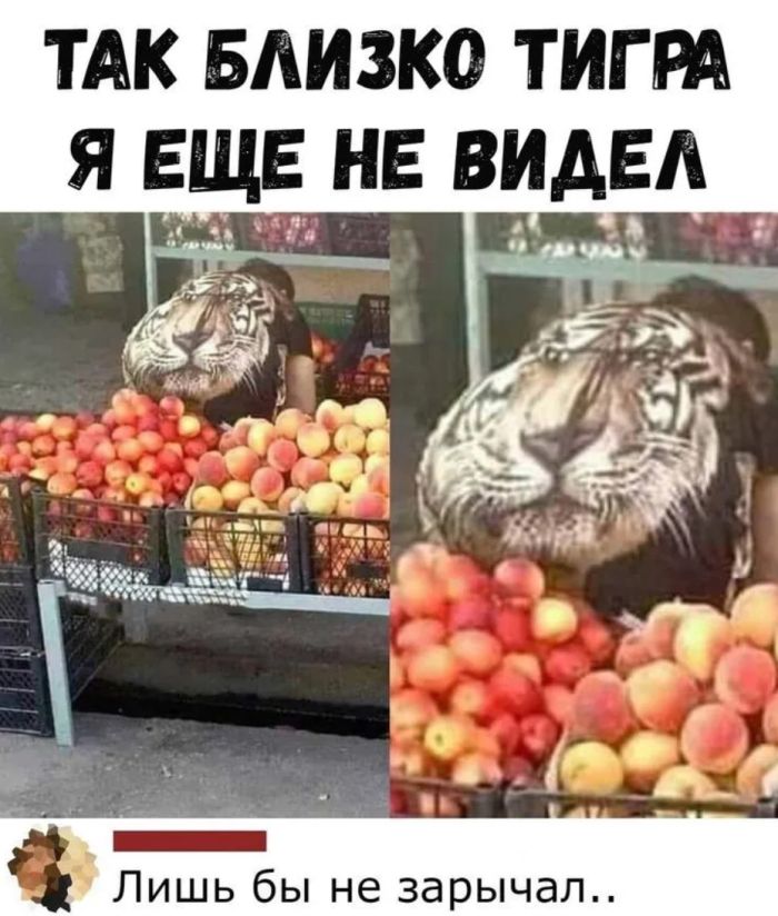 Хочу мартини, фруктов и последствий! 