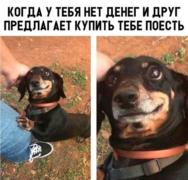 Подборка интересных и веселых картинок №25 Подборка интересных и веселых картинок №25 фото