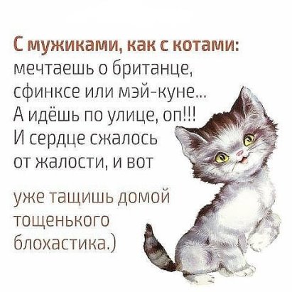     "".  "",  ,  