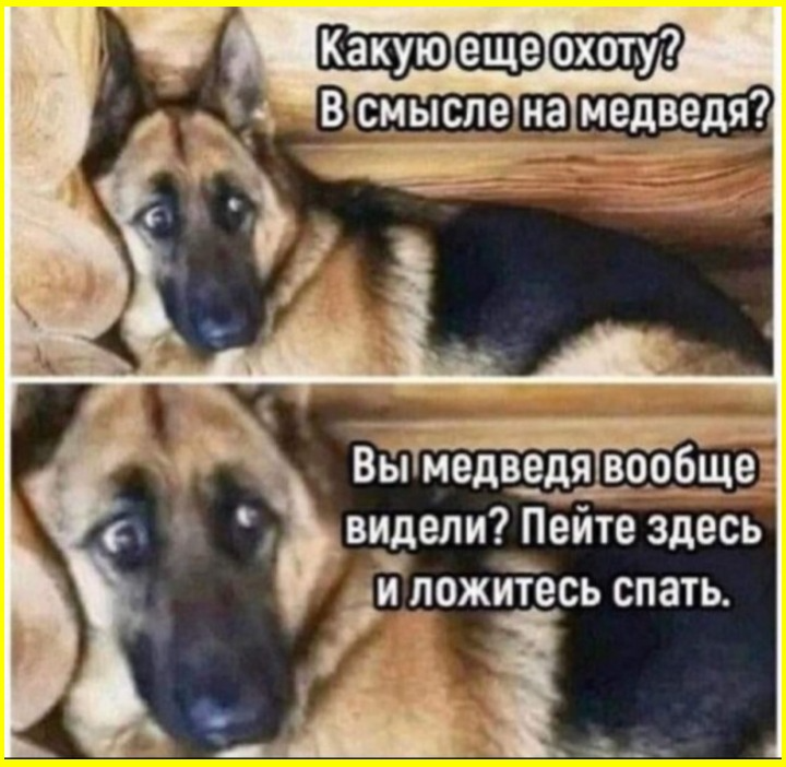 Доброутрешние субботние весёлые картинки Доброутрешние субботние весёлые картинки