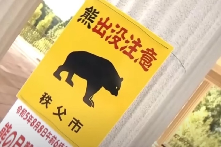 50-летний японский каратист отбился в горах от двух медведей