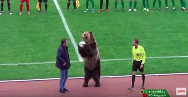 Медведь открыл матч чемпионата России по футболу и это вызвало негодование зоозащитников