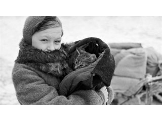 «Усатый спецназ»: как коты защищали блокадный Ленинград