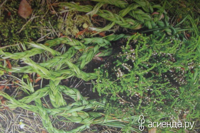 Чтобы место не пустовало Чтобы место не пустовало советы