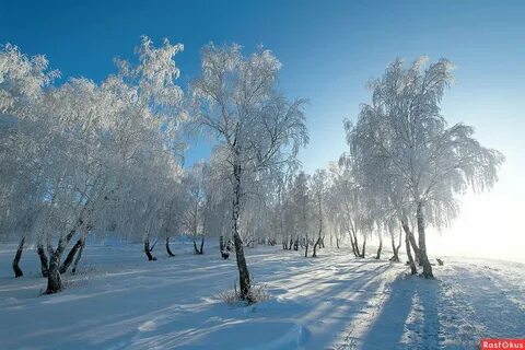 Зимний пейзаж Башкортостана.