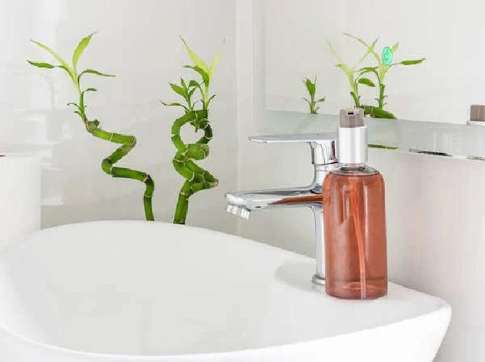 Всегда мечтала о «зеленой» ванной и обрадовалась, узнав, что есть растения, которые прекрасно в ней приживутся  комнатные растения,полезные советы