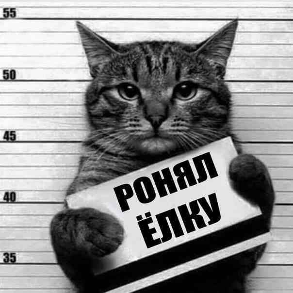 Написала письмо Деду Морозу. Отдала мужу. Жду веселые картинки