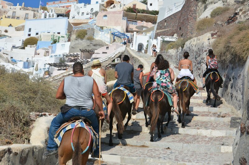 Испанских осликов спасут от толстых туристов Испания,ослик,Турист