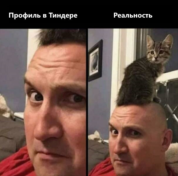 Отличная порция позитива, которая вызовет улыбки и поднимет настроение! 