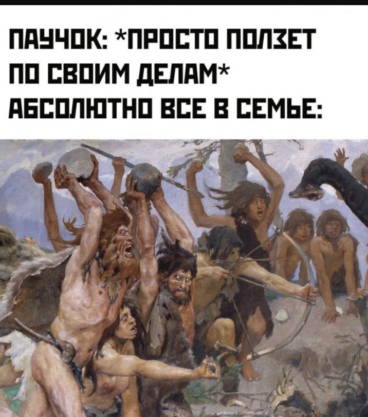 Картинки с приколами для поднятия настроения Картинки с приколами для поднятия настроения