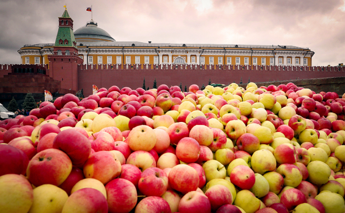 Как не превратить пользу в яд, или 8 ошибок употребления полезных продуктов после, продукт, углеводов, может, кефир, только, хлеба, Однако, фрукт, нельзя, употребления, нужно, всего, жиров, приема, очень, употреблять, время, минералку, Вопервых