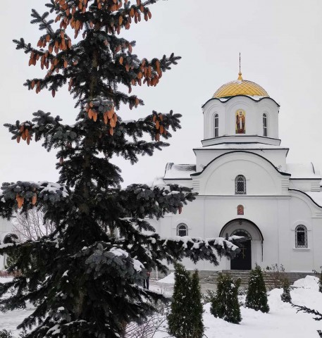 Епископ Серафим возглавил Божественную литургию в Барколабовском Вознесенском женском монастыре.