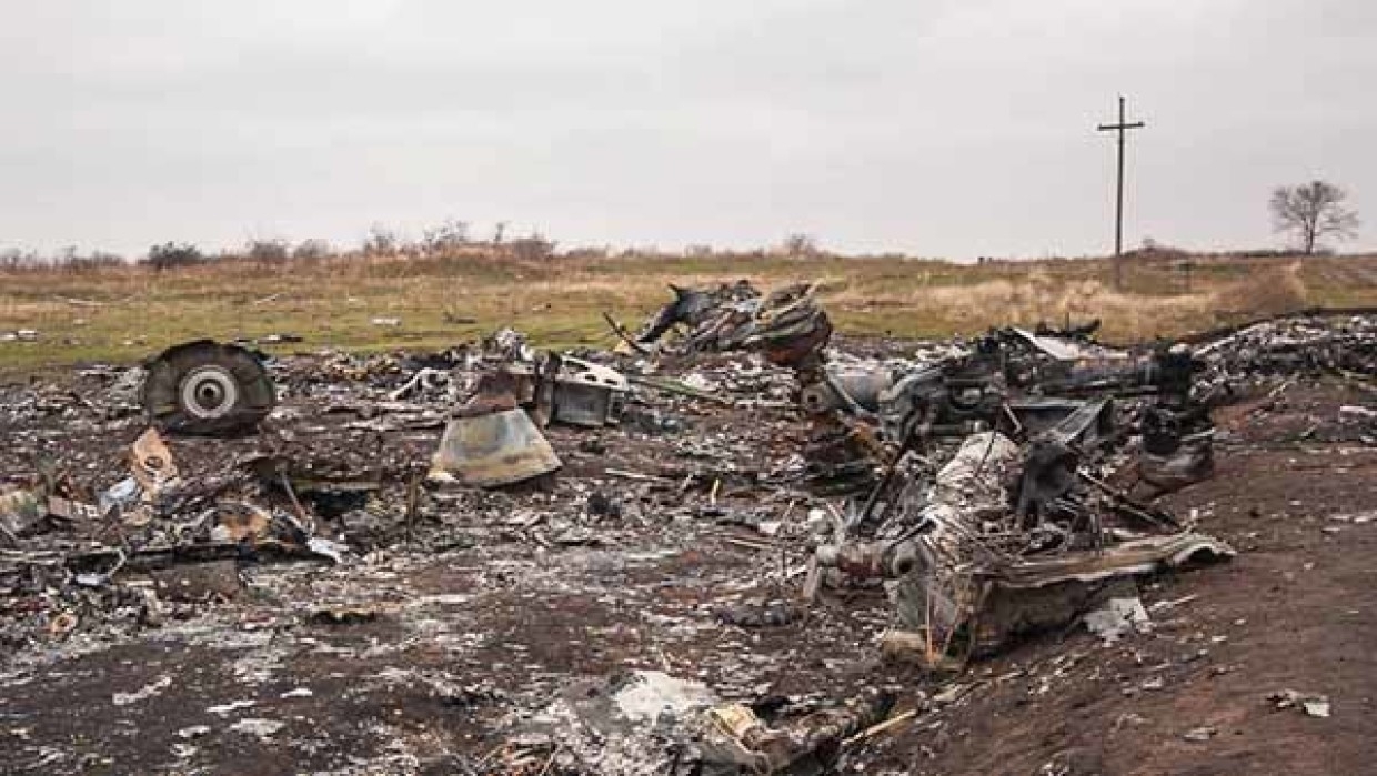 Гражданка Нидерландов обвинила Украину в незакрытии неба перед трагедией МН17