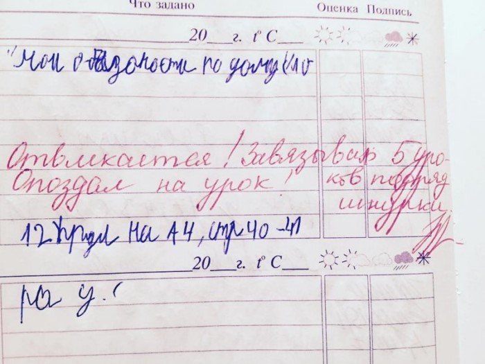 15 замечаний в школьных дневниках, от которых у родителей волосы встают дыбом 15 замечаний в школьных дневниках, от которых у родителей волосы встают дыбом